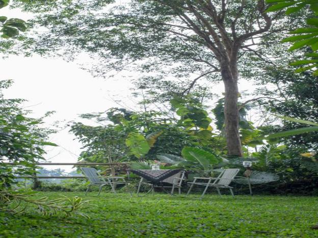 rumah boedi private residence villa