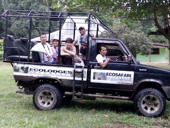 the satwa elephant ecolodge