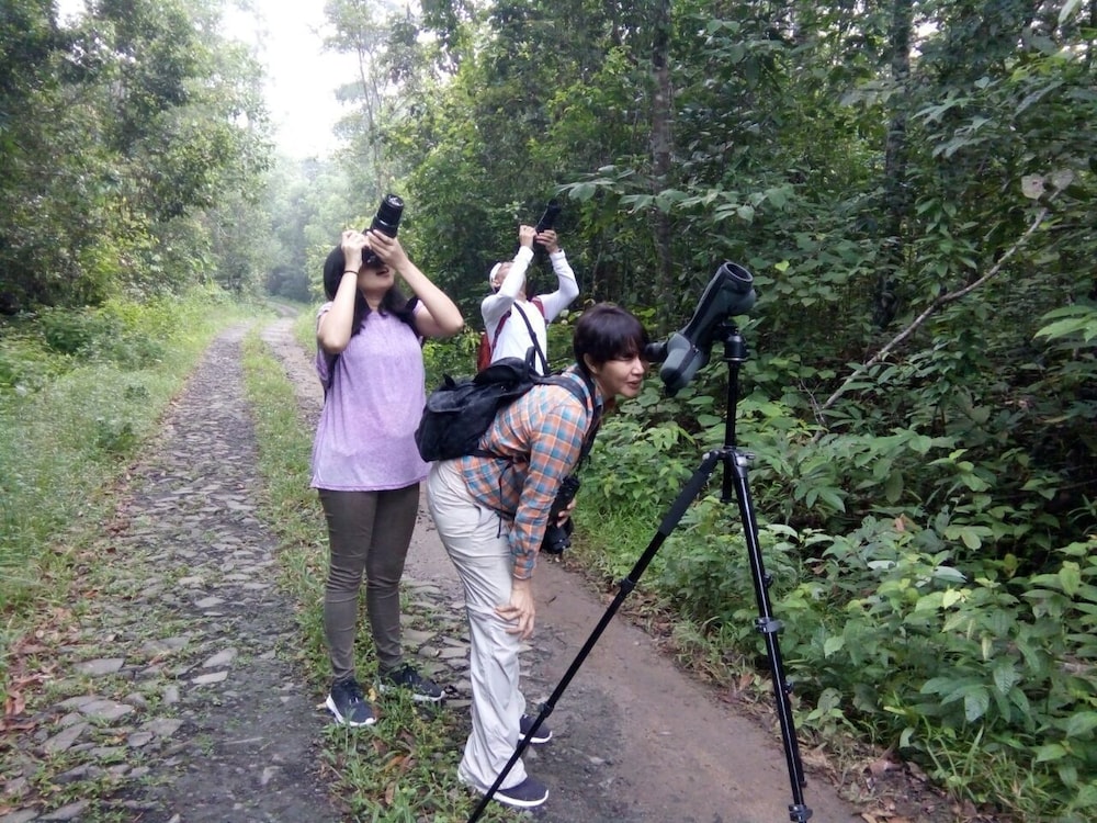 the satwa elephant ecolodge