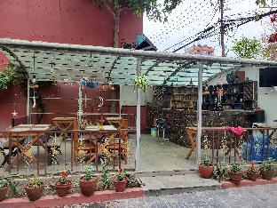 gauthali ghar the swallow home