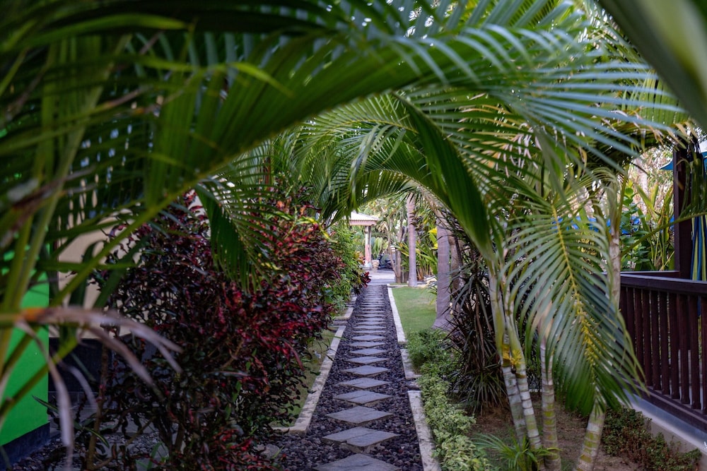 dream beach kubu by abm