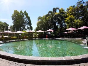 gracia resort and spa subang