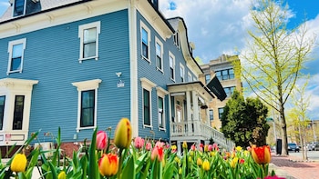 ginkgo house on harvard