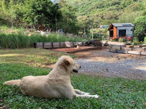 the signature valley khaoyai campus