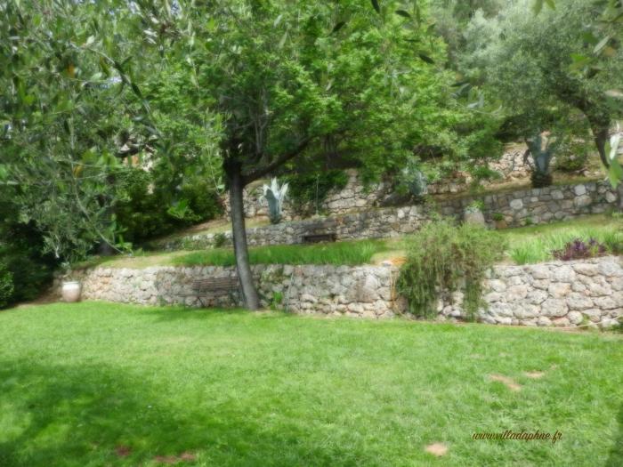 villa daphne