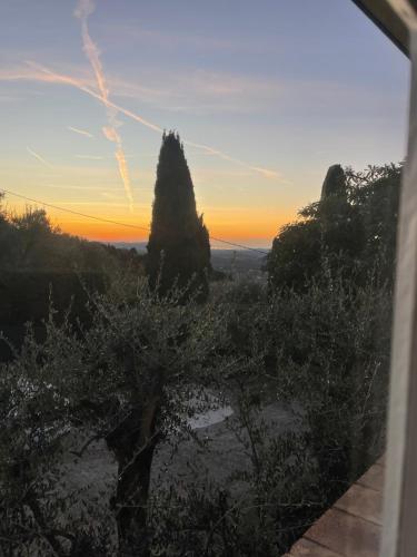 villa daphne
