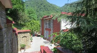 mandi