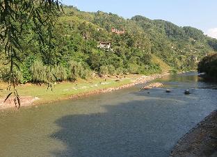 mandi
