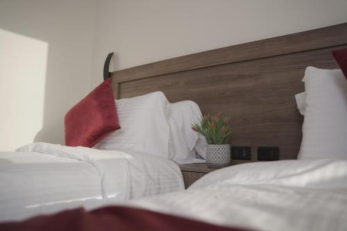 petra passion inn