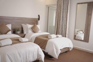 petra passion inn