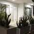 casa allure