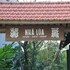 nha lua homestay