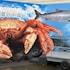 one living in