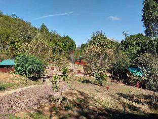 curuba lodge