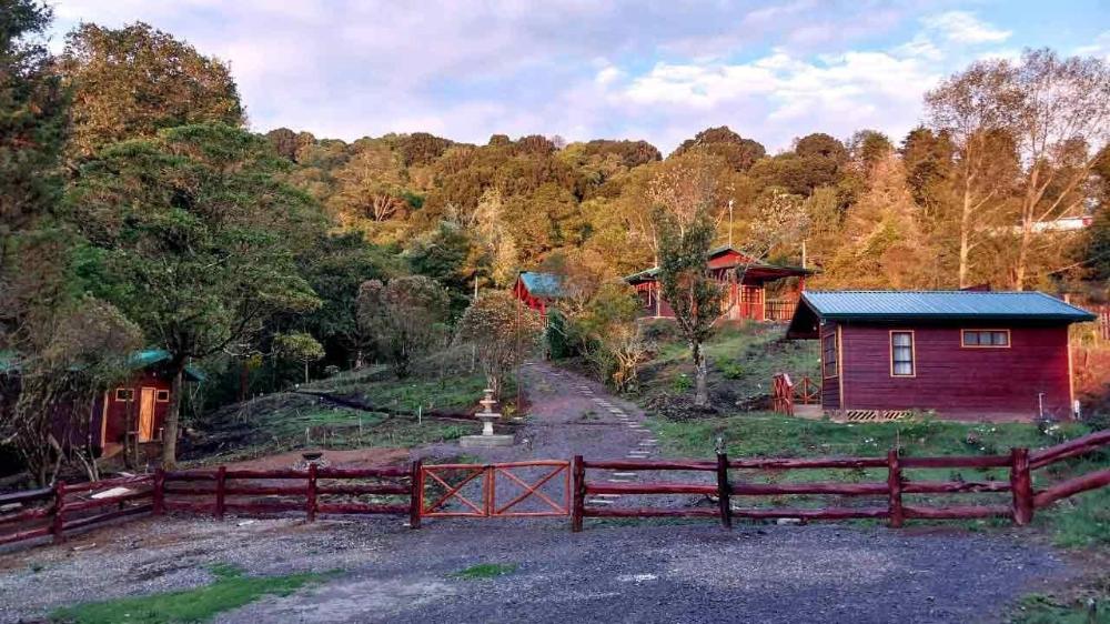 curuba lodge