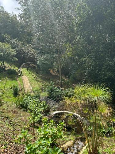 curuba lodge