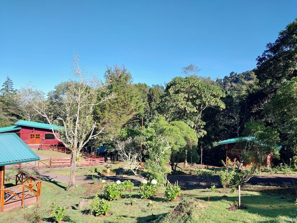 jardin