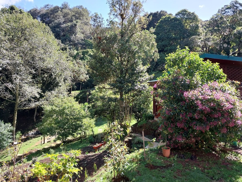 curuba lodge