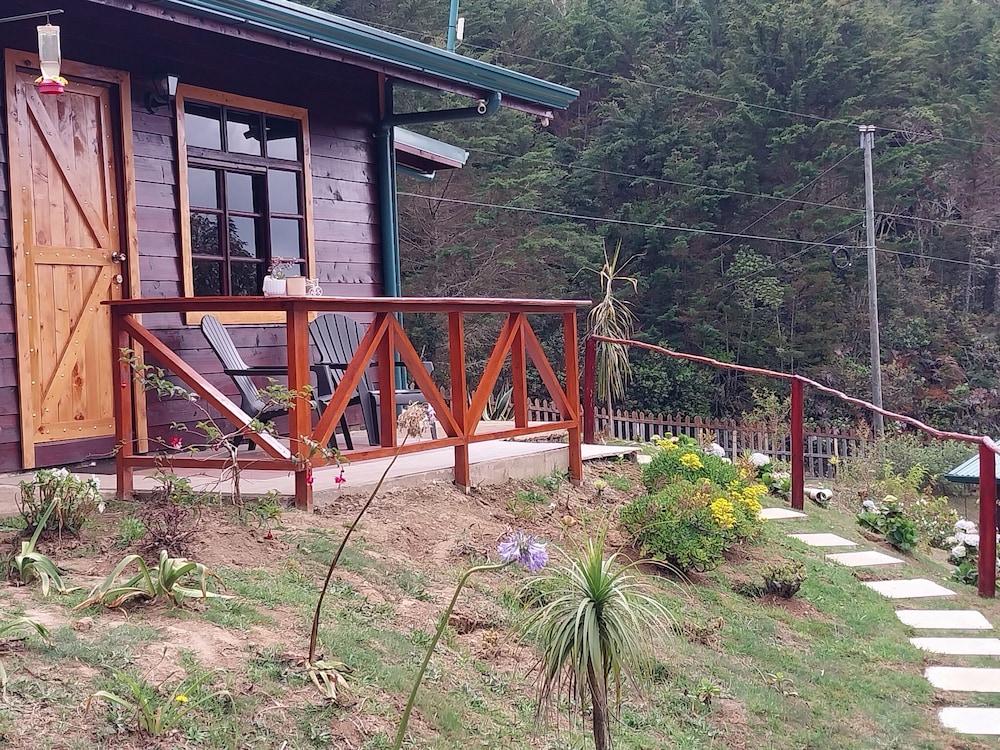 jardin