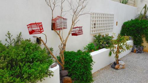 kamarela studios