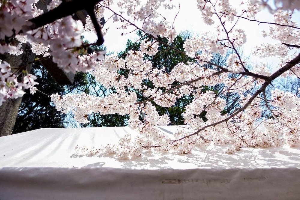 tora hotel sensoji sunny