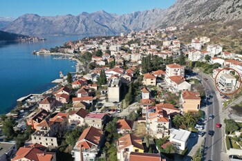 kotor