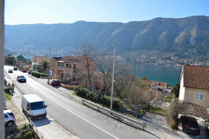 kotor
