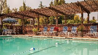best western horizon inn