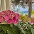 mercan otel