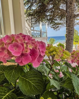 mercan otel