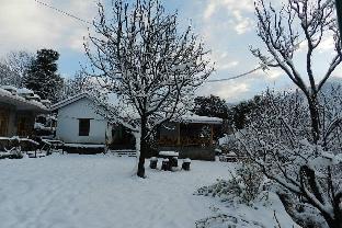 manali