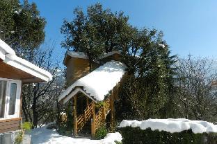 manali