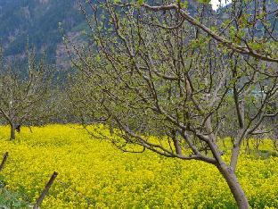 gezellig inn kanyal villas