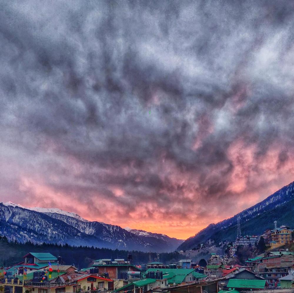 new ambika international