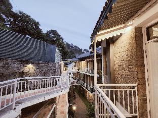 blossom resort kasauli