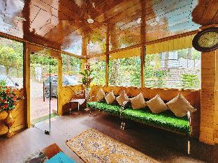 blossom resort kasauli