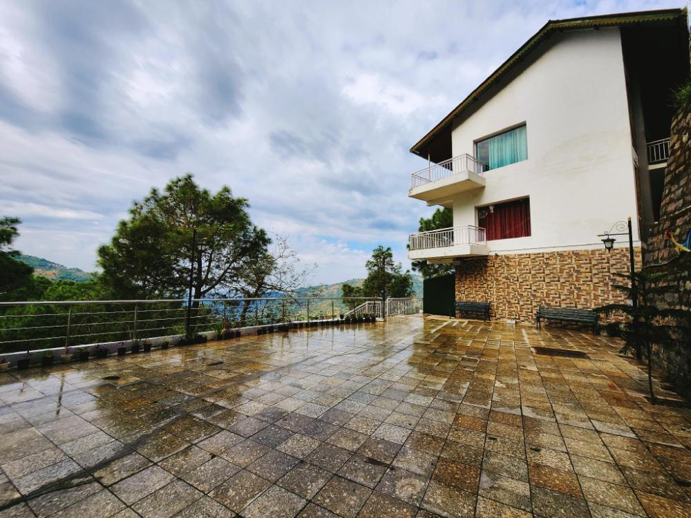 blossom resort kasauli