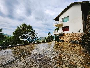 blossom resort kasauli