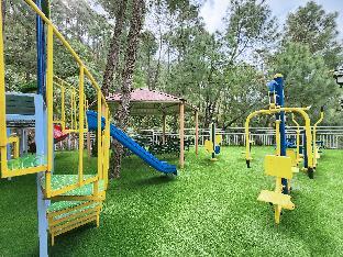 blossom resort kasauli