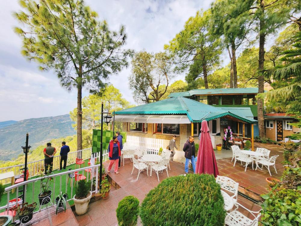 blossom resort kasauli
