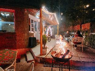 blossom resort kasauli