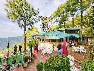 blossom resort kasauli