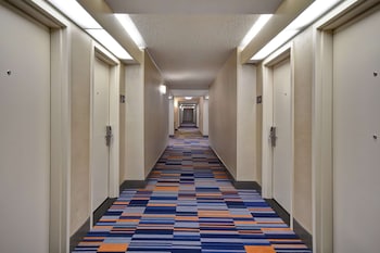 hampton inn ny jfk
