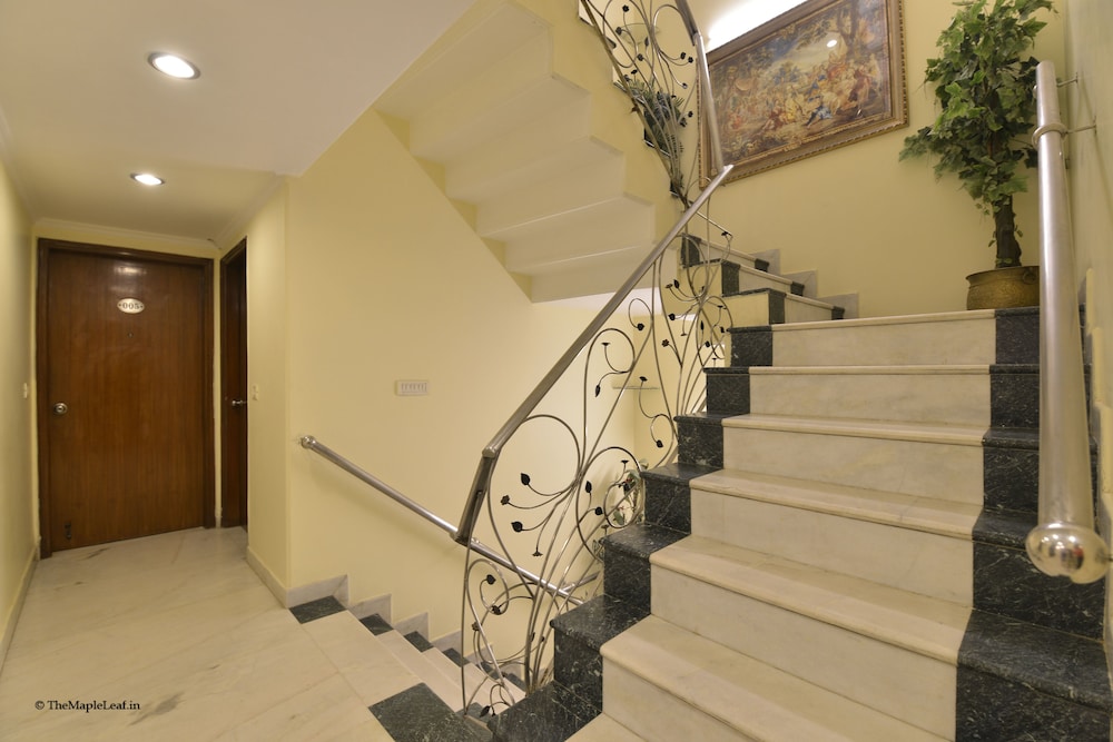 the maple leaf dlf cyber city