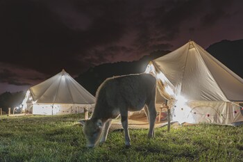 andean glamping