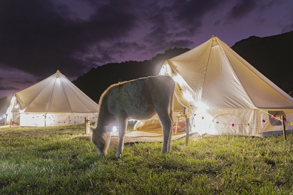 andean glamping