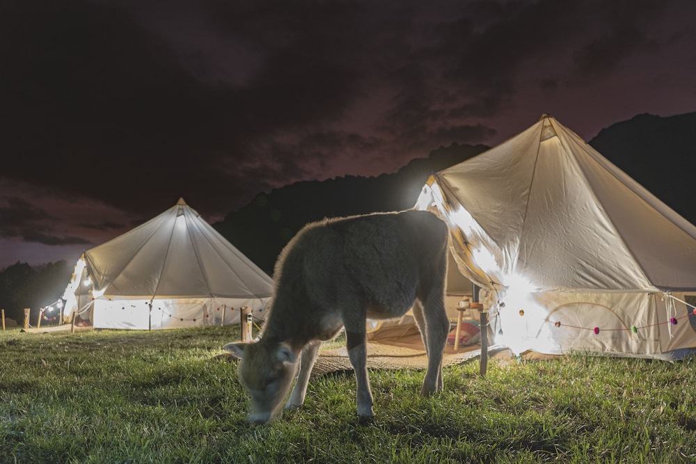 andean glamping