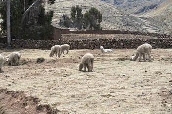 andean glamping