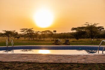 mtito safari camp