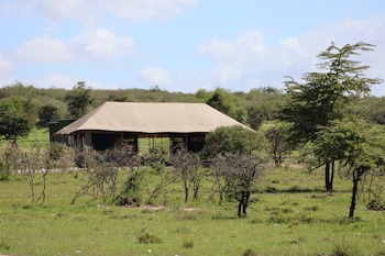 mtito safari camp